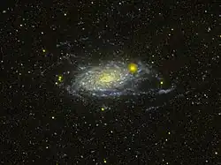 M63 imaged in UV light by the GALEX satellite. The UV light is produced primarily by young, massive stars, so the UV-bright areas are regions where stars are currently forming.[20] Credit NASA / WikiSky