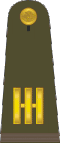 Capitán Mexican Army