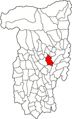 Location in Vâlcea County