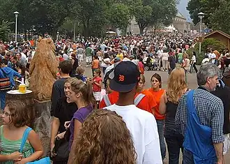 Daytime crowd at the Fair
