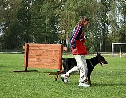 A woman in a red coat and a black dog walking past a wooden obstacle.