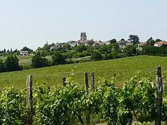 A general view of Montagnac-sur-Auvignon