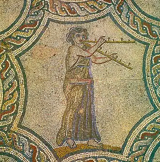 3rd century A.D. Mosaic depicting Tibi'cina or maenad from the House of Dionysus in Volubilis Morocco, part of the Roman Empire.