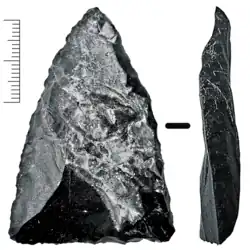 A thin, black triangular rock