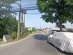 Mulberry and Strawberry Fields