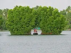 Tourism in Munroe Island