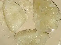 Murabba made from wax gourd