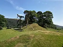 A grassy earth mound around 4 metres high, with several pine trees upon it.