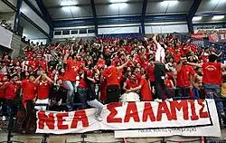 Nea Salamina Famagusta VC Fans at the final of Cyprus Volleyball Cup 2010-11, where their team won the cup