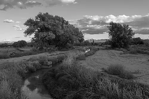 Near the intersection of the Los Padillas Drain and Putnam Drain in South Valley, New Mexico