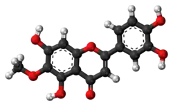 Ball-and-stick model of nepetin