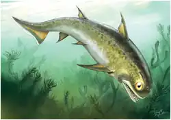 Nerepisacanthus, a Silurian acanthodian