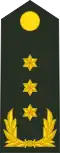 Luitenant-generaal[36] (Royal Netherlands Army)