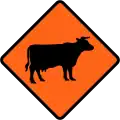 Watch for large animals (cattle)