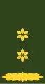Royal Netherlands Army (Luitenant-Kolonel)