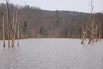 North Bend Lake in 2008