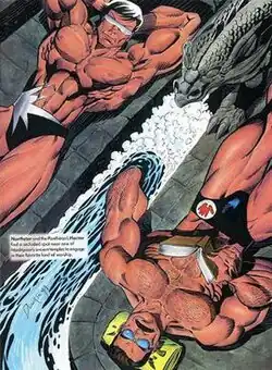 Northstar and Hector by Jan Duursema.