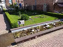 Garden located in Proszowice County, Poland.