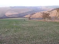On the Minster Way near Millington