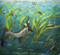 Drawing of various aquatic animals among green algae