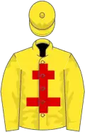 Yellow, red cross of lorraine, yellow sleeves, yellow cap