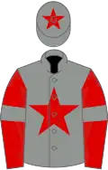 Grey, red star on body and cap, red sleeves, grey armlets