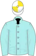 Pale blue, white and yellow quartered cap
