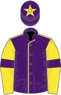 Purple, yellow seams, yellow sleeves, purple armlets, purple cap, yellow star