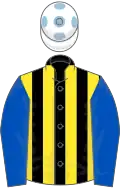 Black and yellow stripes, royal blue sleeves, white cap, light blue spots
