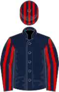 Dark blue, red striped sleeves, striped cap