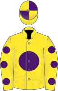 Yellow, purple disc, yellow sleeves, purple spots, quartered cap