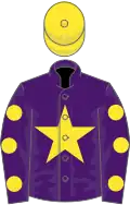 Purple, Yellow star, Purple sleeves, Yellow spots, Yellow cap