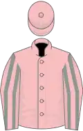 Pink, grey striped sleeves