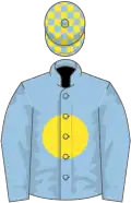 Light blue, yellow disc, checked cap