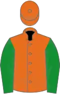 Orange, green sleeves
