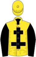 Yellow, Black cross of Lorraine and sleeves