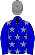 Blue, grey stars on body, grey cap