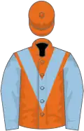 Orange, light blue chevron and sleeves, orange cap