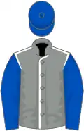 Grey, white seams, royal blue sleeves and cap