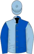 Royal blue and light blue halved, sleeves reversed, light blue cap