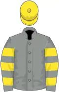 Grey, yellow hooped sleeves, yellow cap