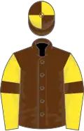 Brown, yellow sleeves, brown armlets, brown and yellow quartered cap