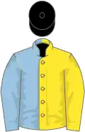 Yellow and light blue (halved), black cap