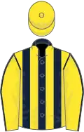 Dark Blue and Yellow stripes, Yellow sleeves, Dark Blue seams, Yellow cap