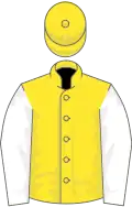 Yellow, white sleeves, yellow cap
