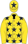 Yellow, dark blue stars on body, star on cap