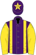 Purple, yellow braces, sleeves and star on cap