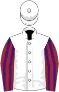 White, maroon and purple striped sleeves