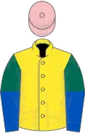 Yellow, dark green and royal blue halved sleeves, pink cap