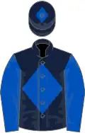 Dark blue, royal blue diamond, sleeves and diamond on cap